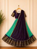 Gadwal Lime Green & Brown Half Saree with Stitched Blouse